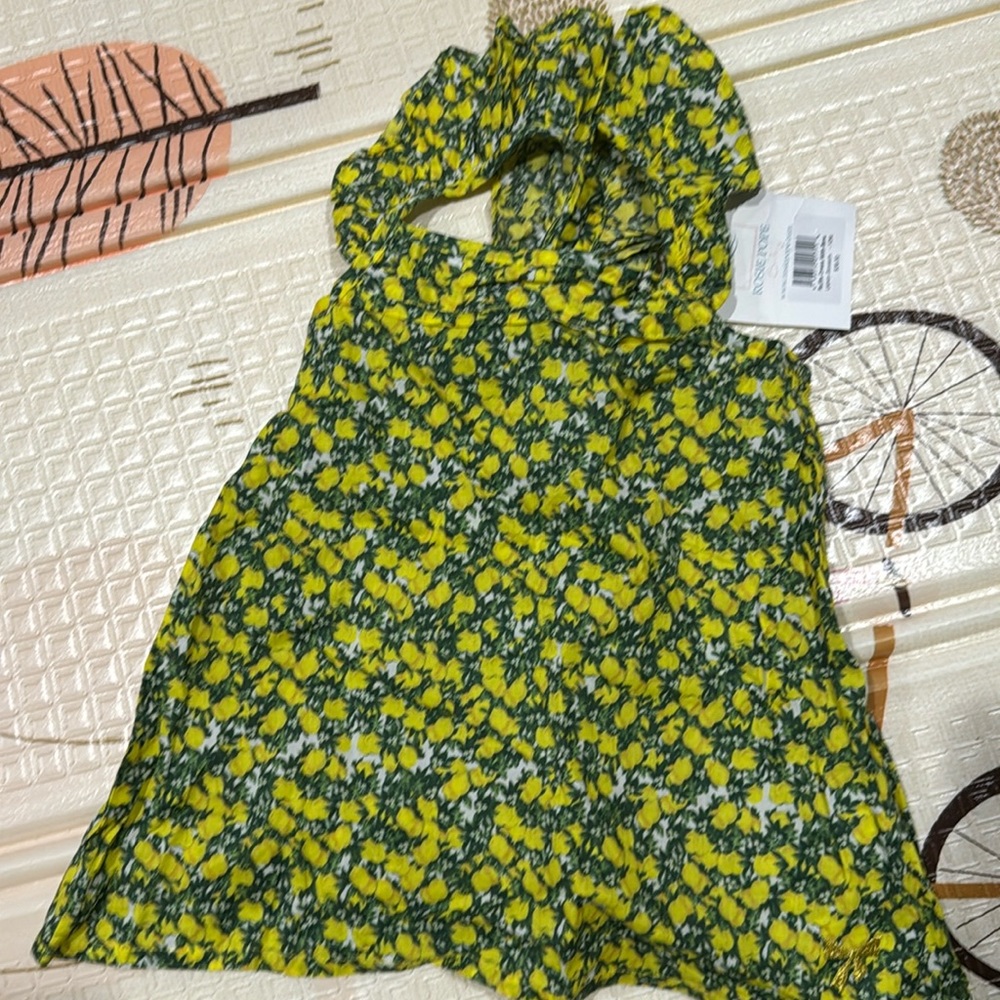 Rosie pope ruffle dress 12M